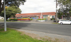 Waitara High School small