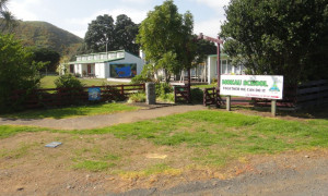 Mokau Primary School small