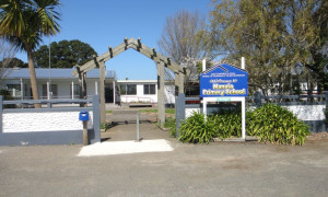 Manaia Primary School small